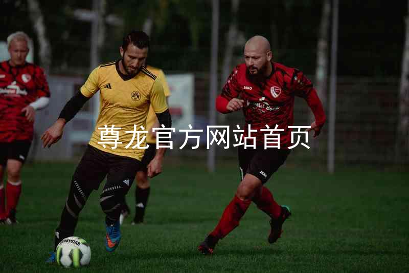 尊龙官方网站首页